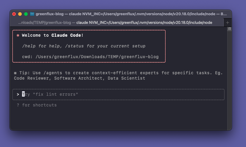 Installing Claude Code and Gemini CLI